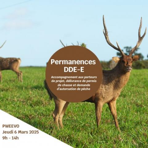 Permanence DDE-E - Permis de chasse et autorisation de pêche